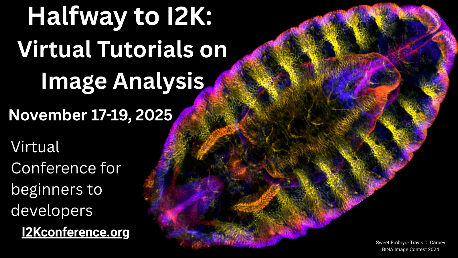 Virtual I2K Banner Image